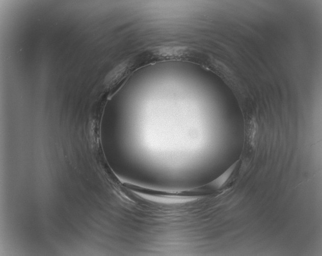X0000054420428200508192102