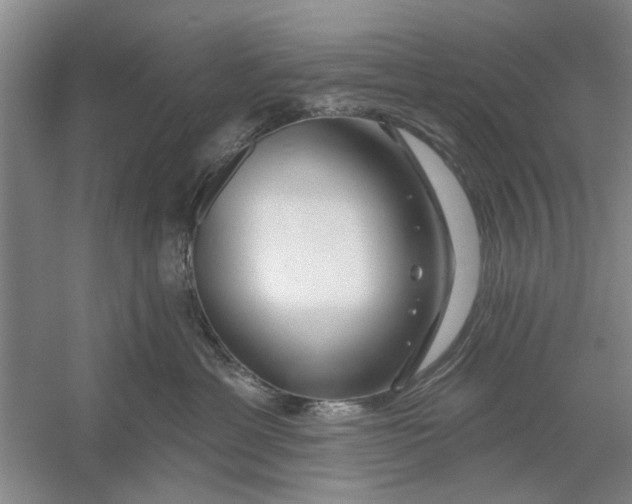 X0000054420429200508192102