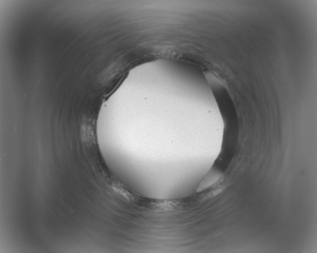X0000054420432200508192102