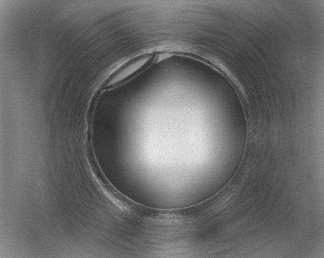 X0000054420437200508192101