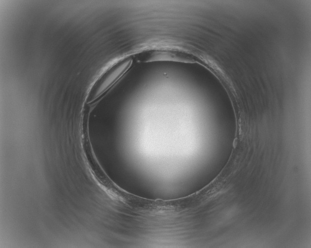 X0000054420438200508192101