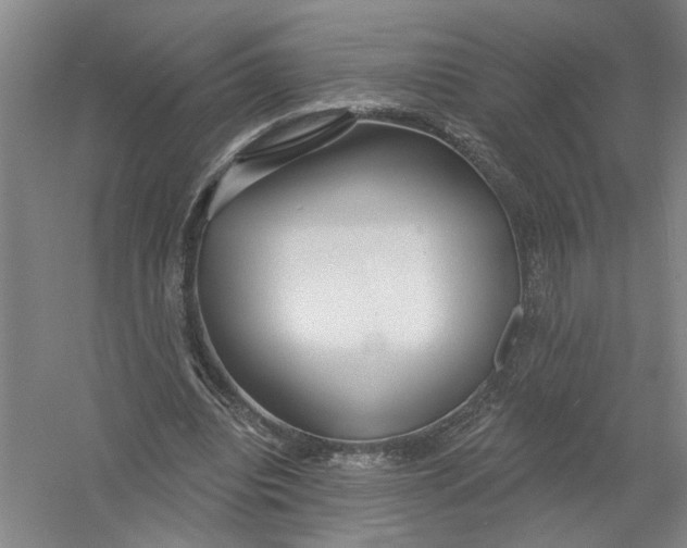 X0000054420440200508192101