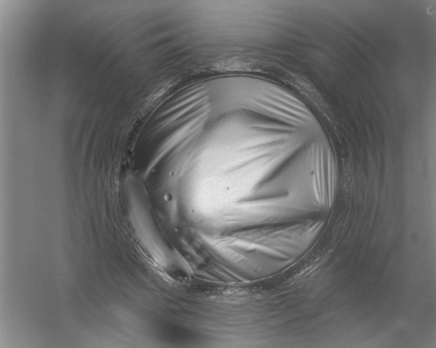 X0000054420441200508192101