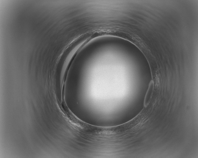 X0000054420444200508192101