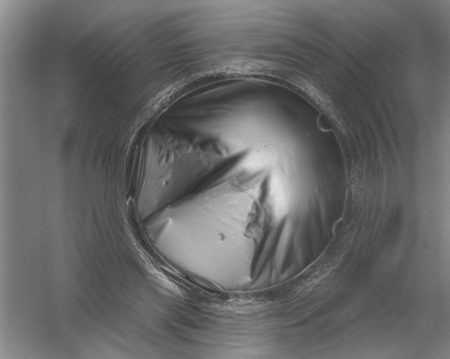 X0000054420445200508192101