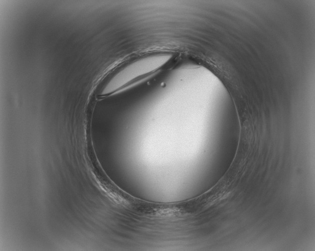 X0000054420446200508192101