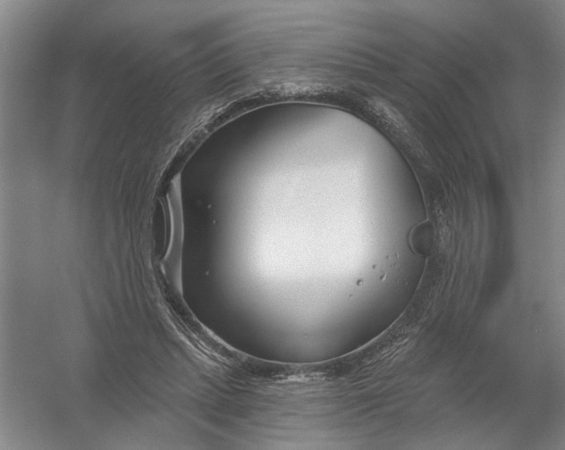 X0000054420447200508192101