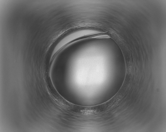X0000054420448200508192101