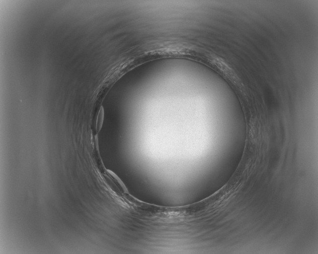 X0000054420449200508192101