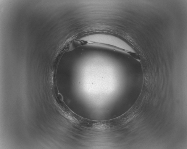 X0000054420454200508192102
