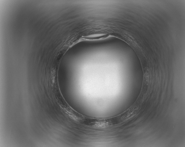 X0000054420458200508192102