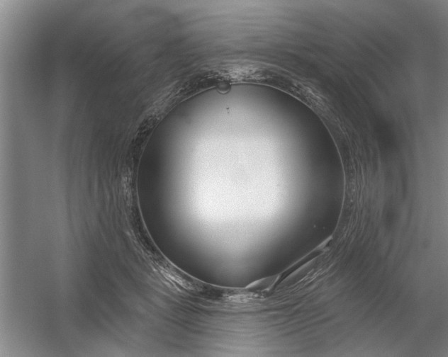 X0000054420461200508192102