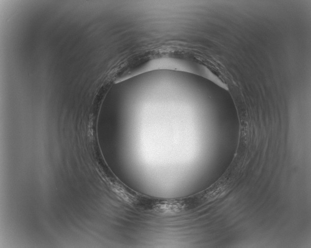 X0000054420466200508192102