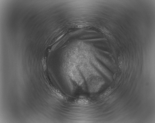 X0000054420471200508192102