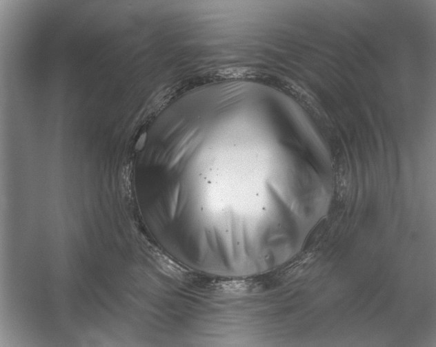 X0000054420473200508192102