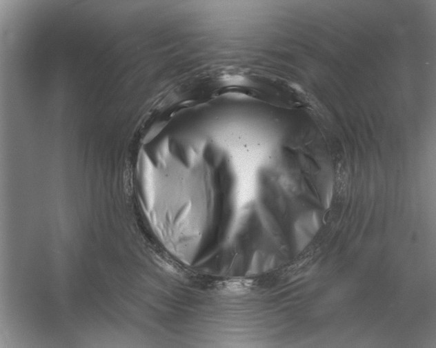 X0000054420474200508192102