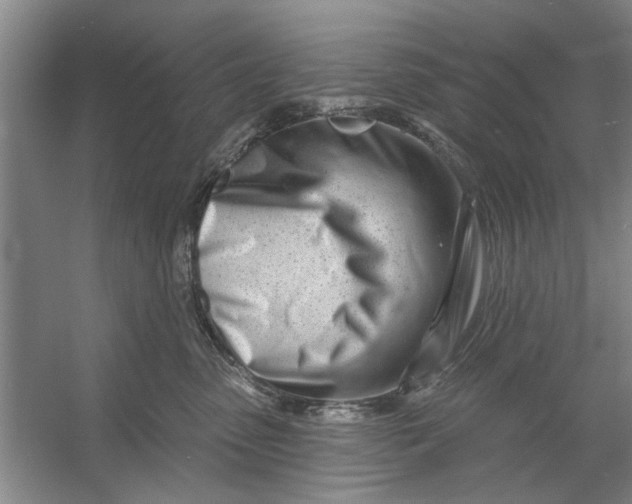 X0000054420475200508192102