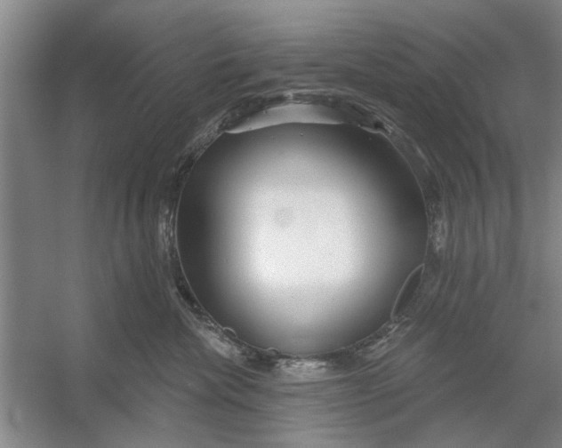 X0000054420476200508192102
