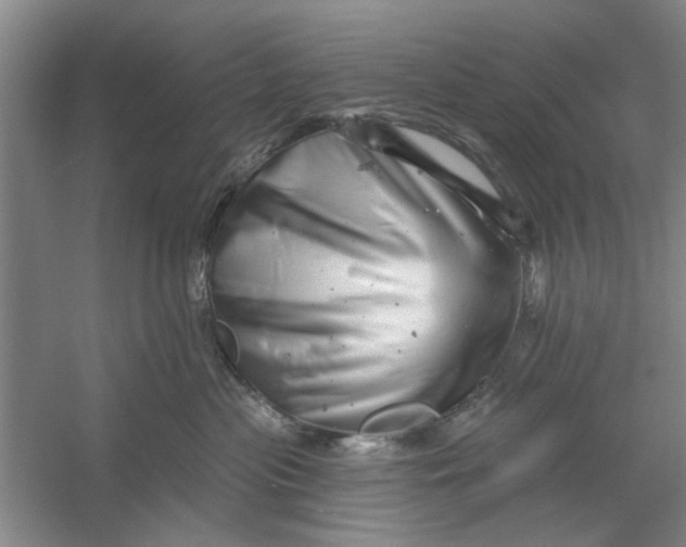 X0000054420477200508192102
