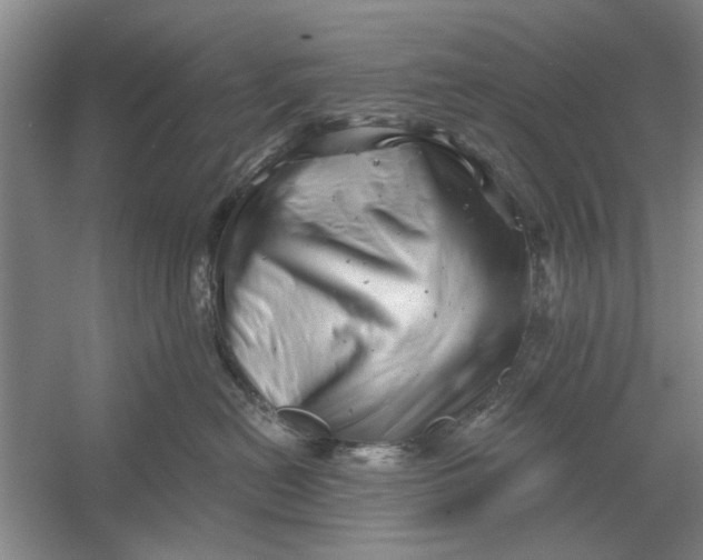 X0000054420478200508192102
