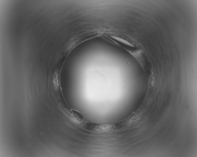 X0000054420479200508192102
