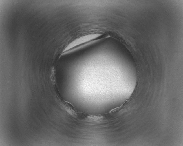 X0000054420480200508192102