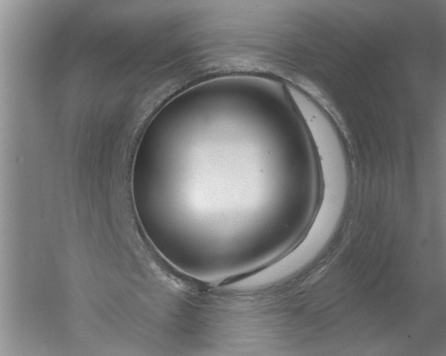 X0000054420481200508192101