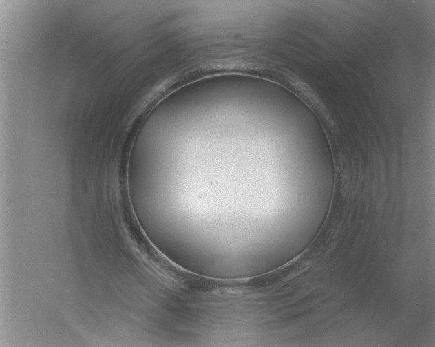 X0000054420482200508192101