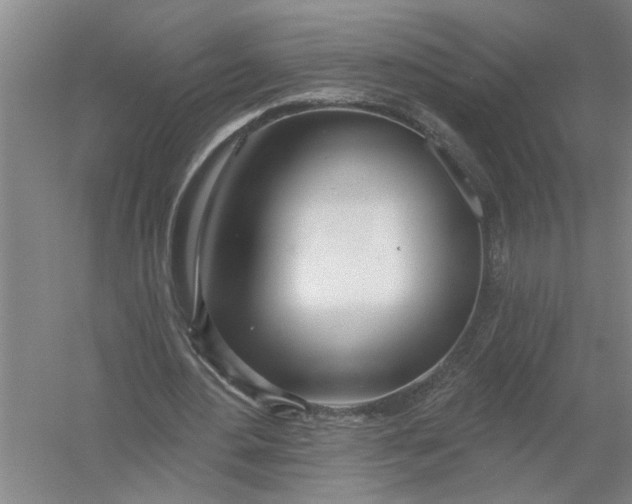 X0000054420484200508192101