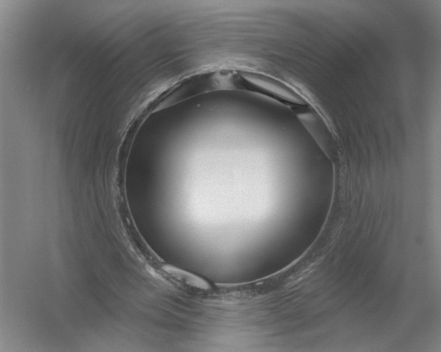 X0000054420485200508192101