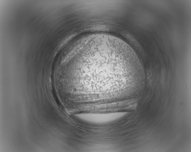 X0000054420487200508192101