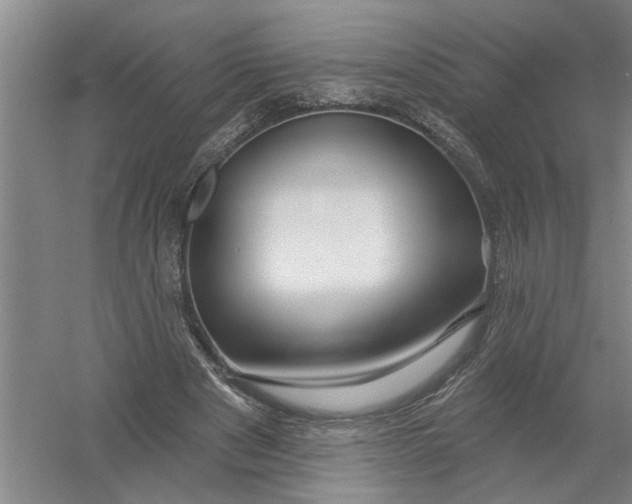 X0000054420489200508192101