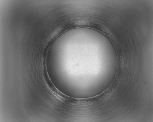 X0000054420490200508192101
