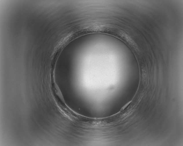 X0000054420493200508192101
