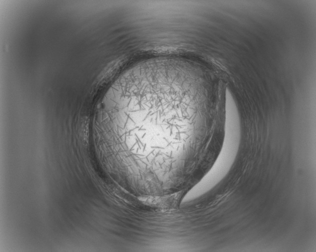X0000054420495200508192101