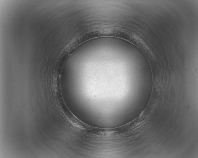 X0000054420497200508192101