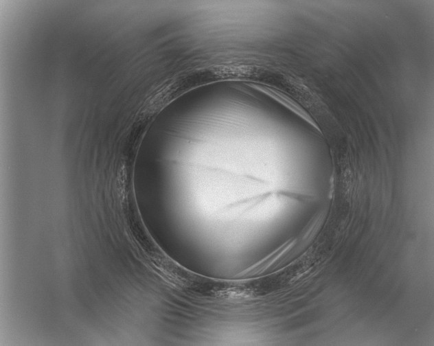 X0000054420498200508192101