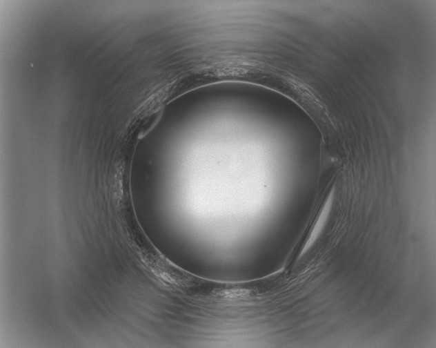 X0000054420501200508192101