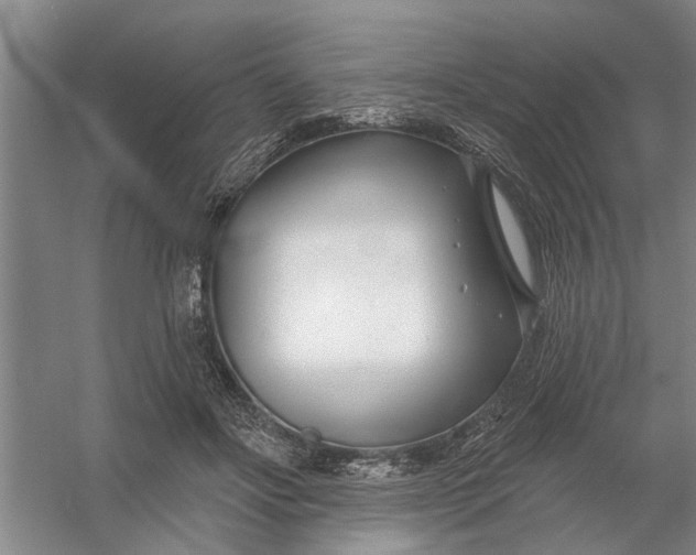 X0000054420502200508192101