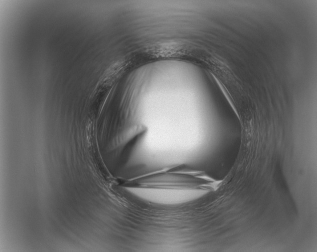X0000054420503200508192101