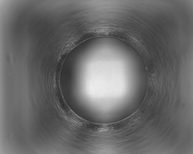 X0000054420504200508192101