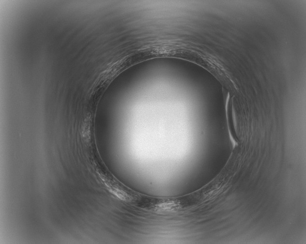 X0000054420505200508192101