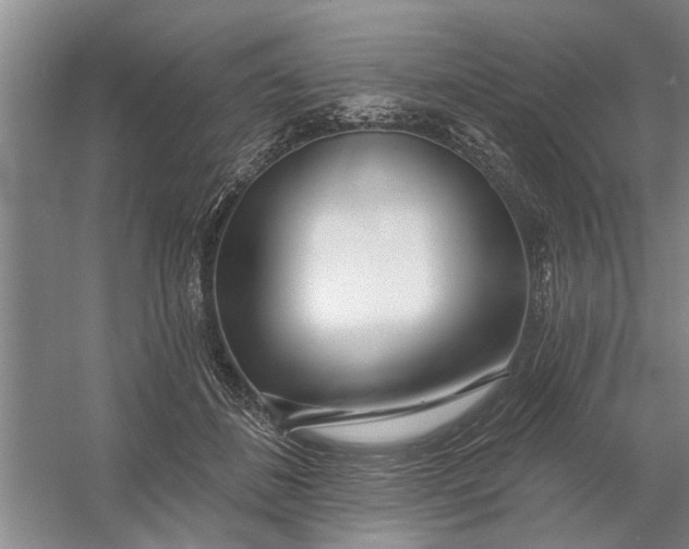 X0000054420508200508192101