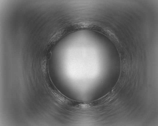X0000054420509200508192101