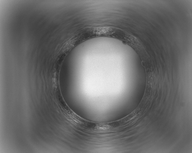 X0000054420510200508192101