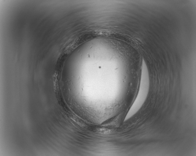 X0000054420511200508192101