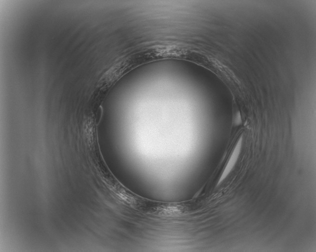 X0000054420513200508192101