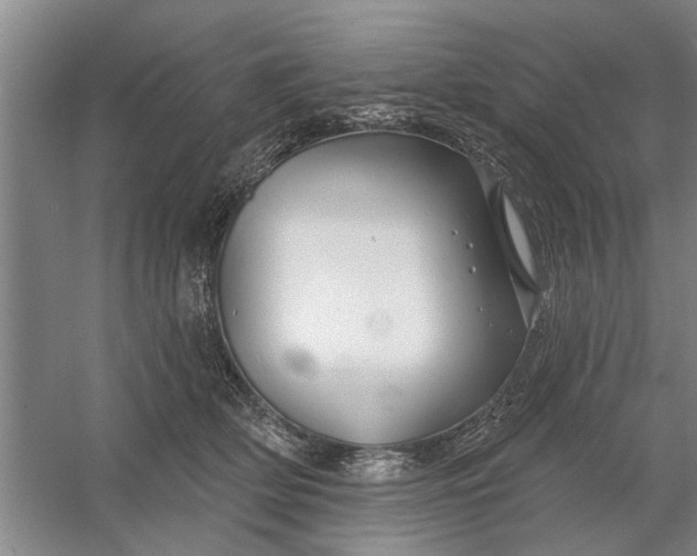 X0000054420514200508192101