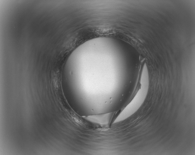 X0000054420515200508192101