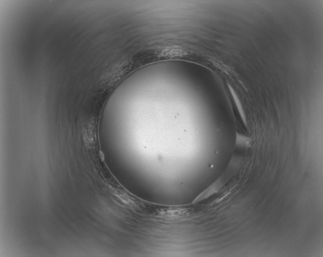 X0000054420517200508192101